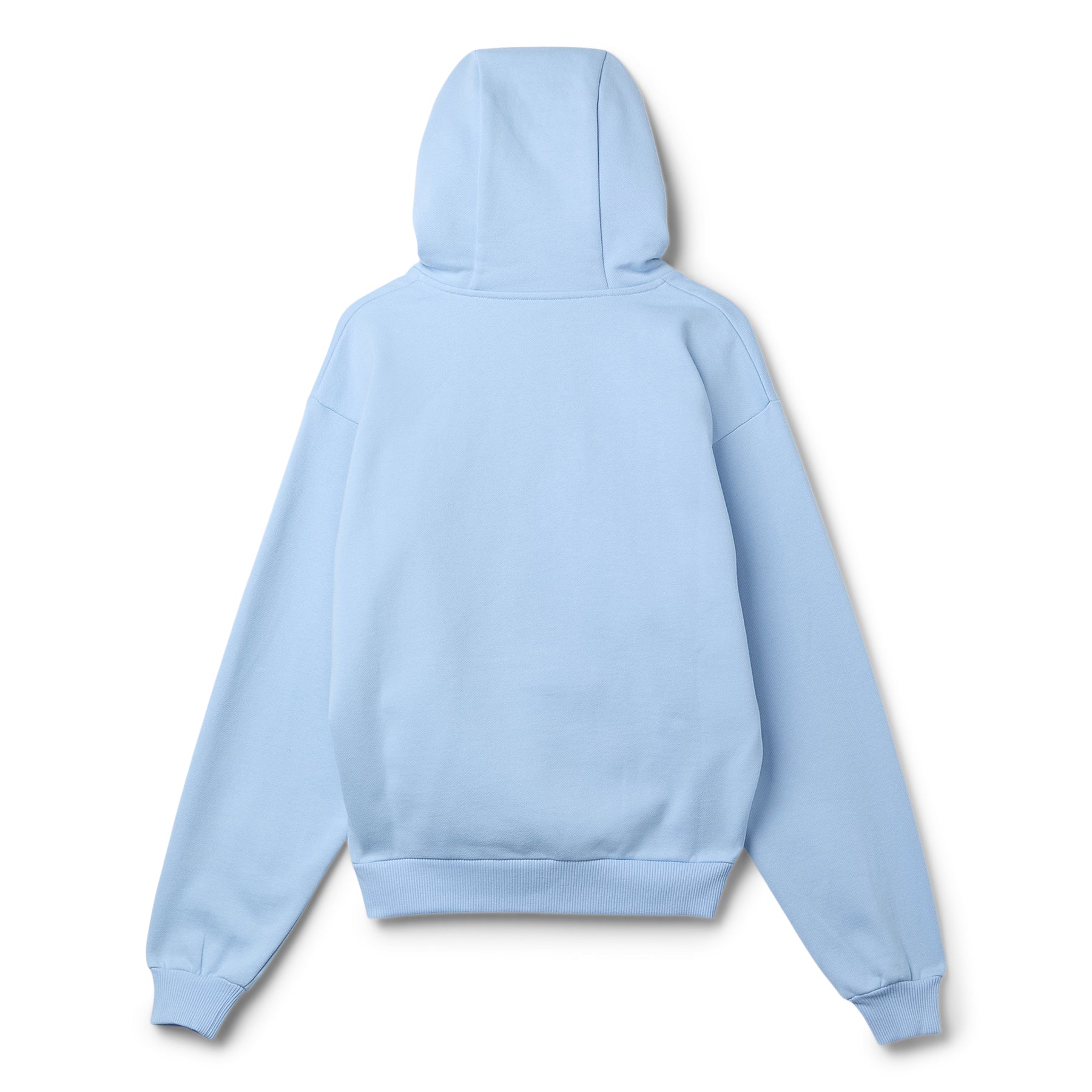 COPERNI Horn Hoodie (Blue/Pink Print)