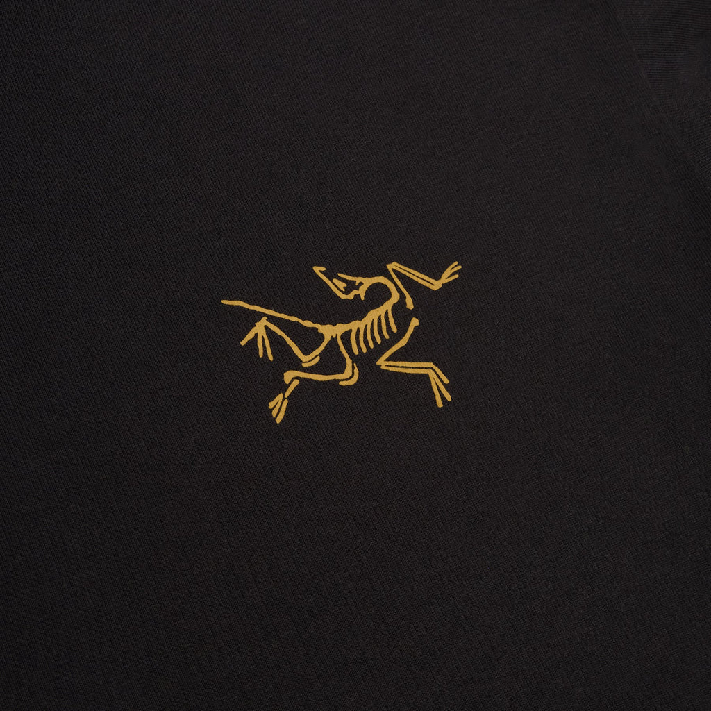 Arc'teryx Kragg Cotton LS M (24K Black)
