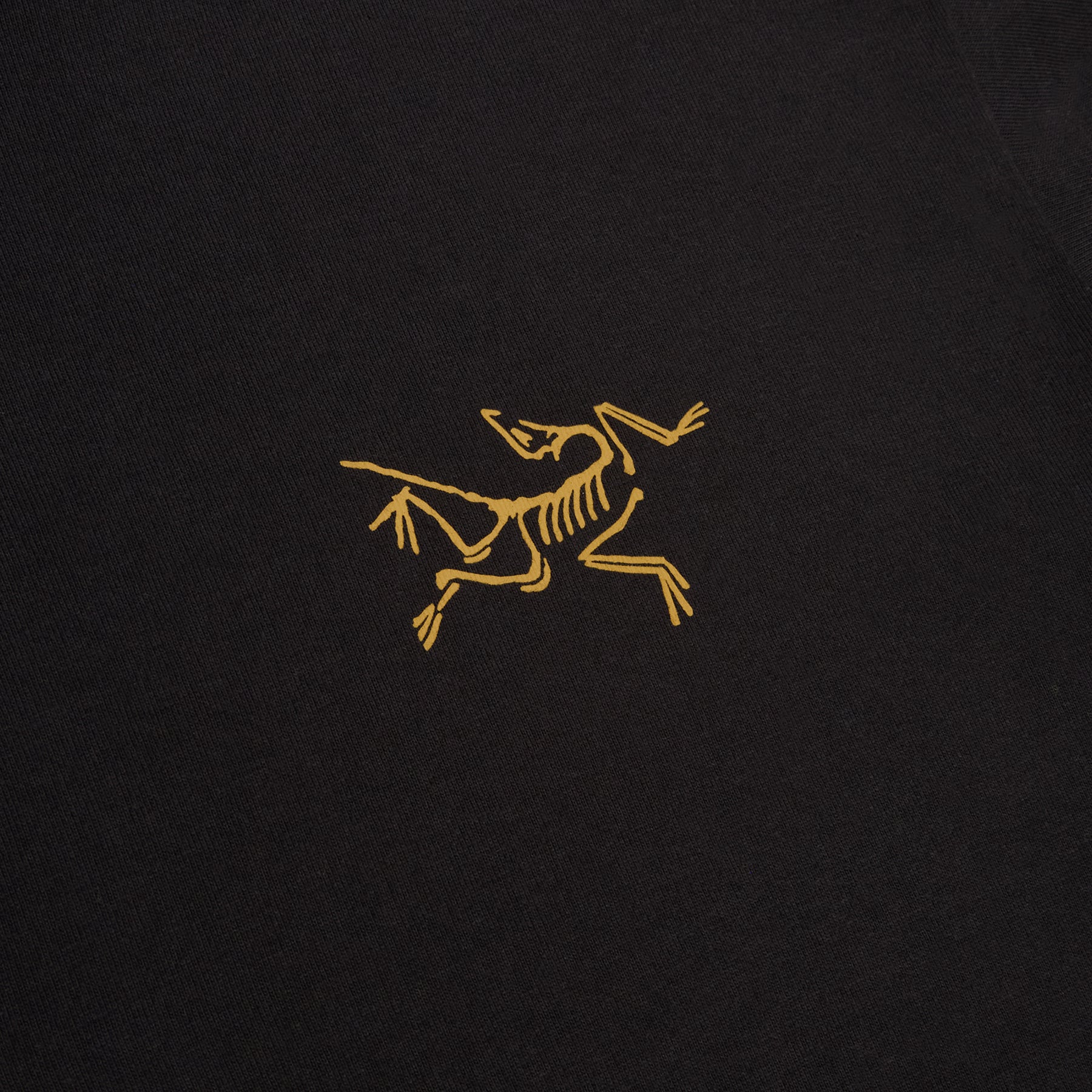 Arc'teryx Kragg Cotton LS M (24K Black)